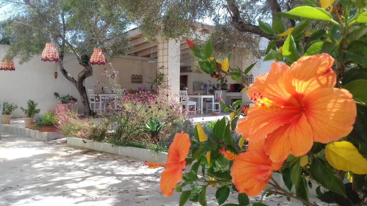 Bed and Breakfast The Proud Garden à Carovigno Extérieur photo